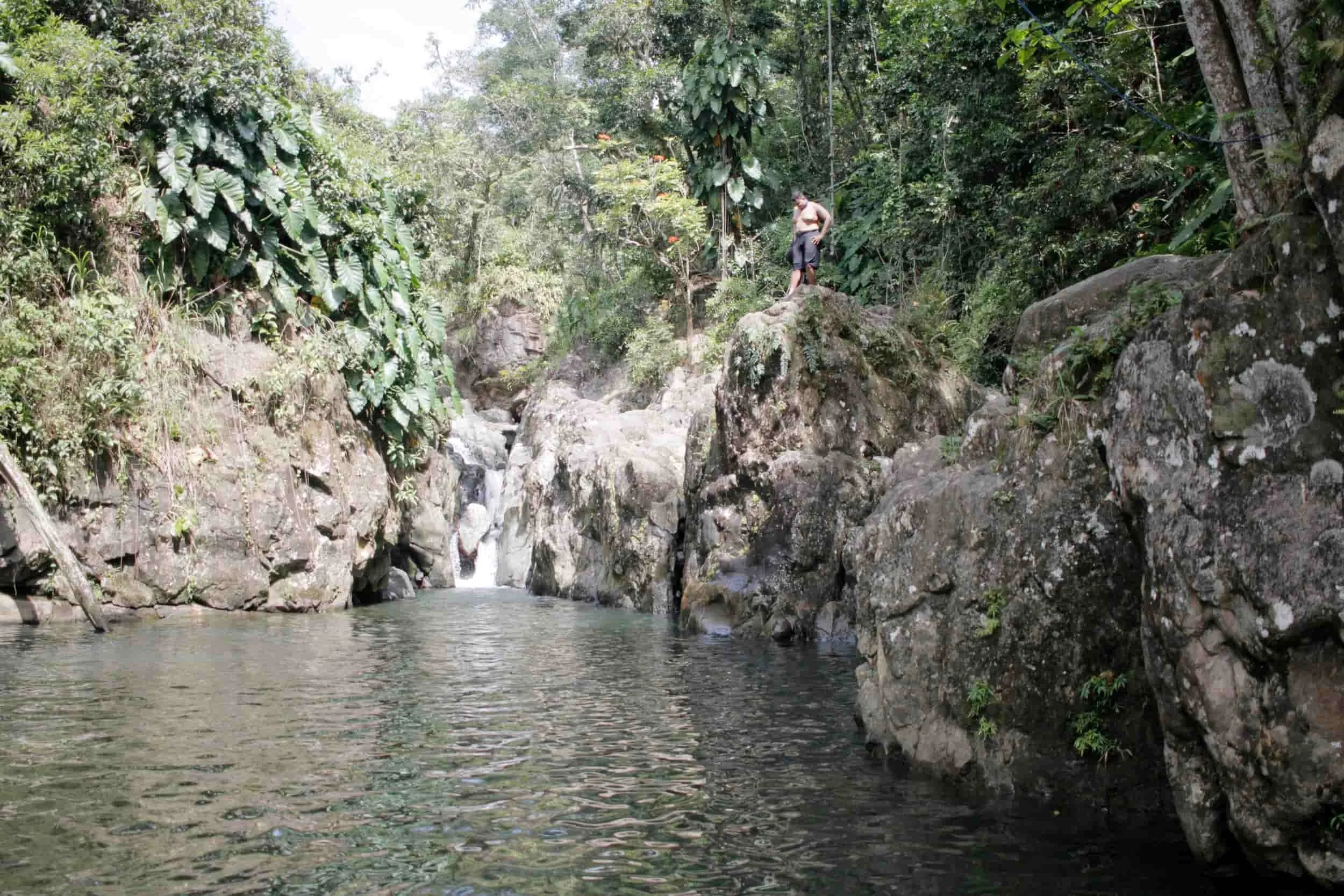 El Yunque National Forest