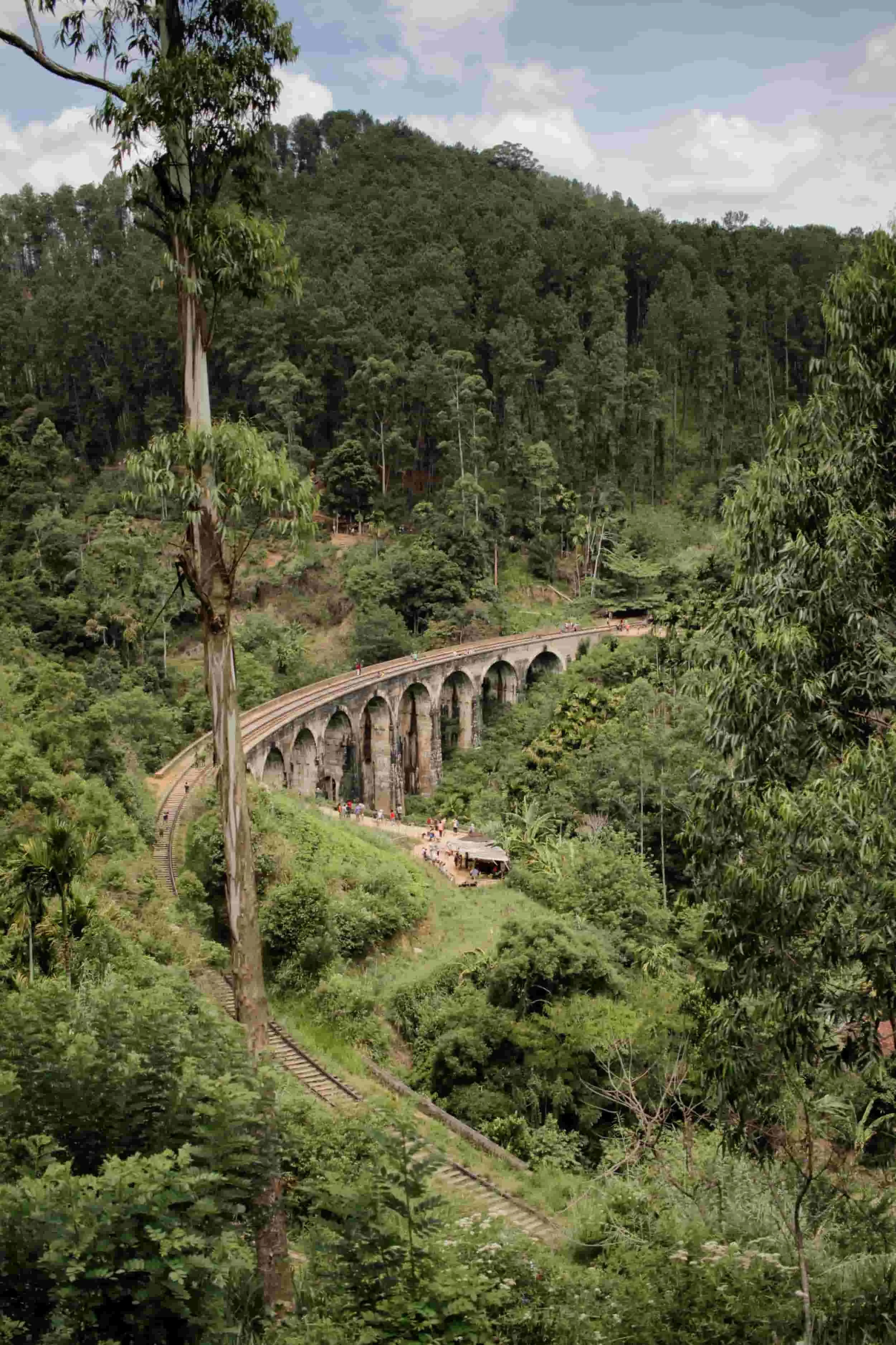 Green lush forested hillside with a railway bridge arching across the valley, Nine Arches bridge in Ella, Sri Lanka