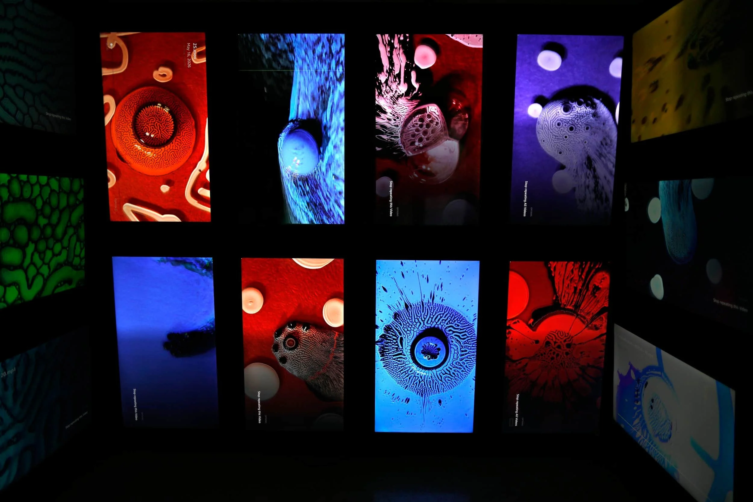 "Hospital Of Emotions" invites visitors to Los Angeles Art enthusiasts as a bold Experiential Design and Immersive Art destination—one of the must-see Things To Do In LA
