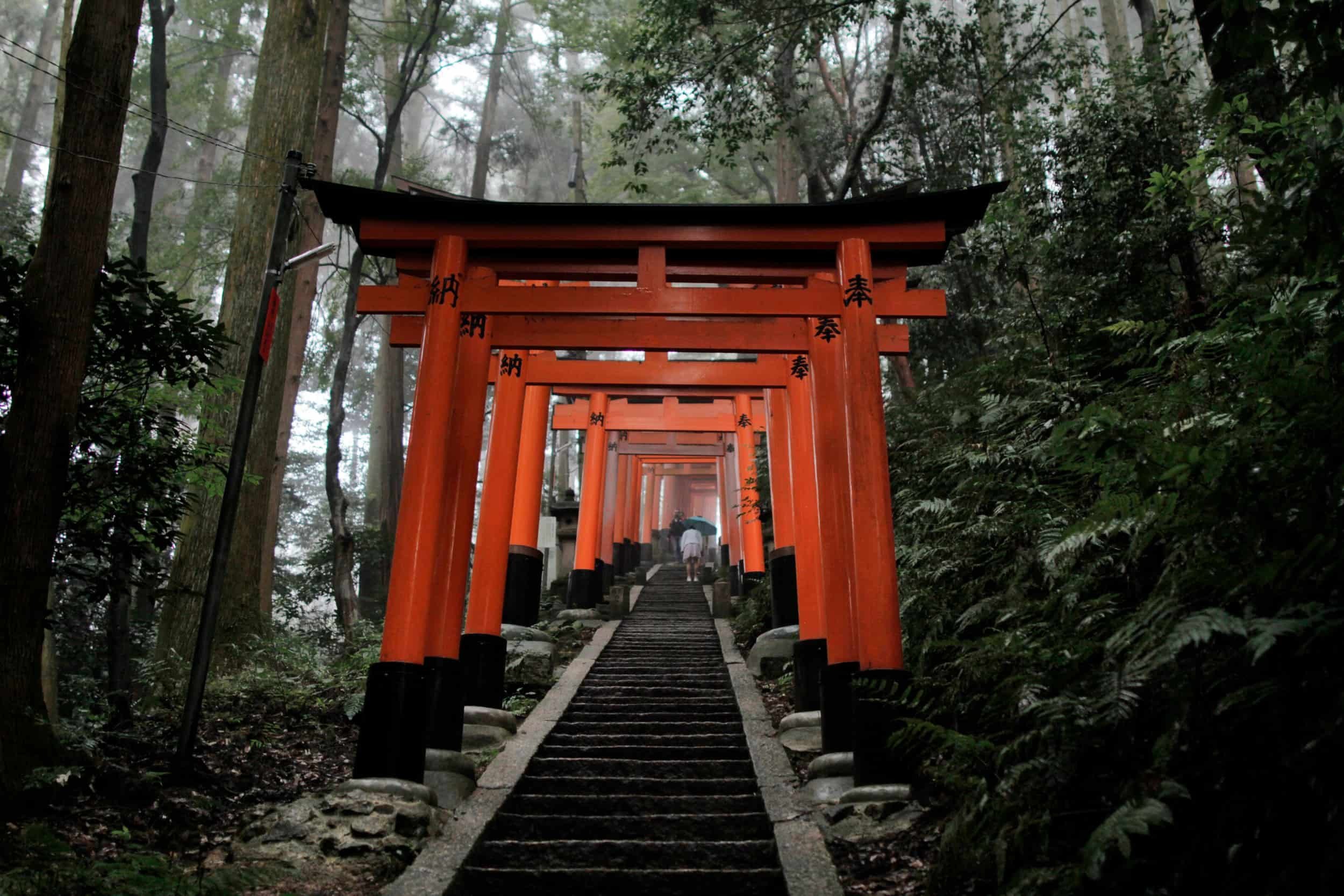 A series of red torii gates on a wooded path with fog and greenery at Fushimi Inari Taisha, Kyoto, Japan.