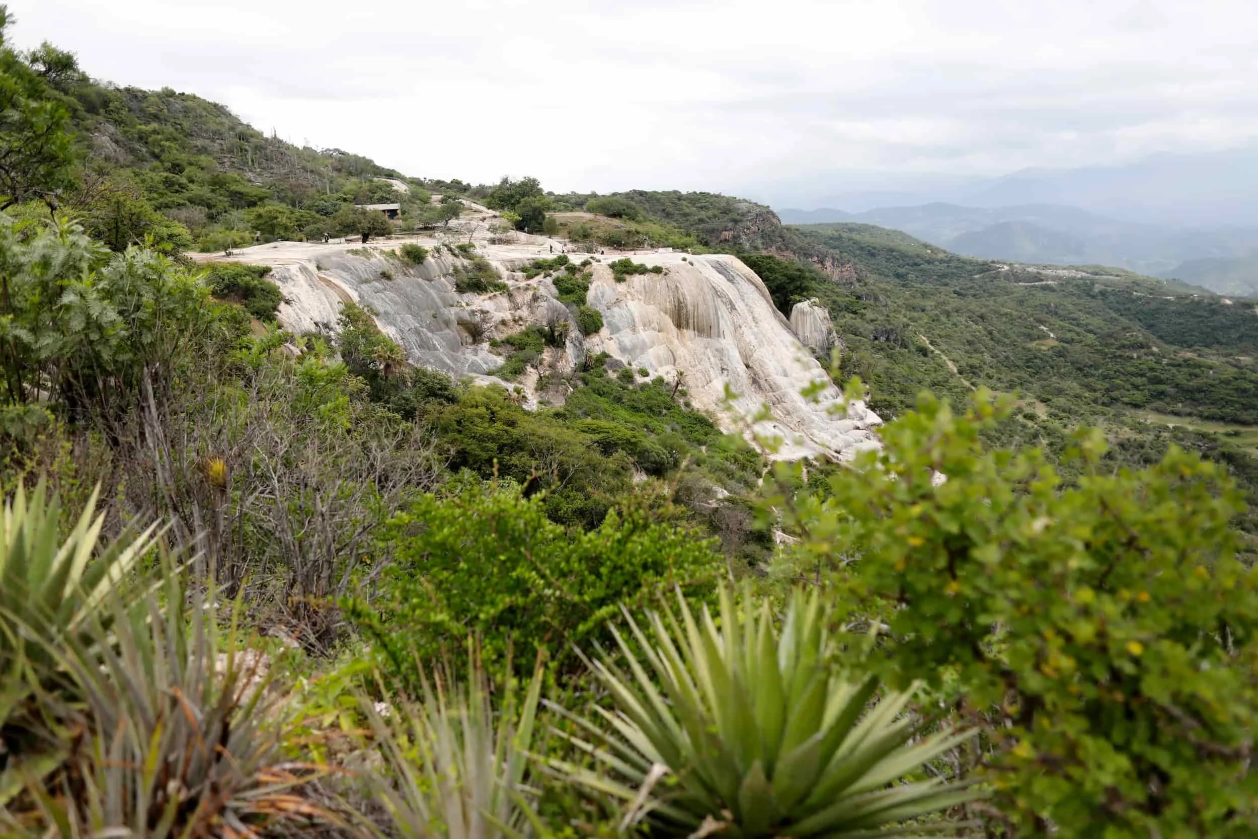 Green desert plants and trees on a hillside with rocky formations and distant mountains under a cloudy sky at Hierve el Agua in Oaxaca, Mexico