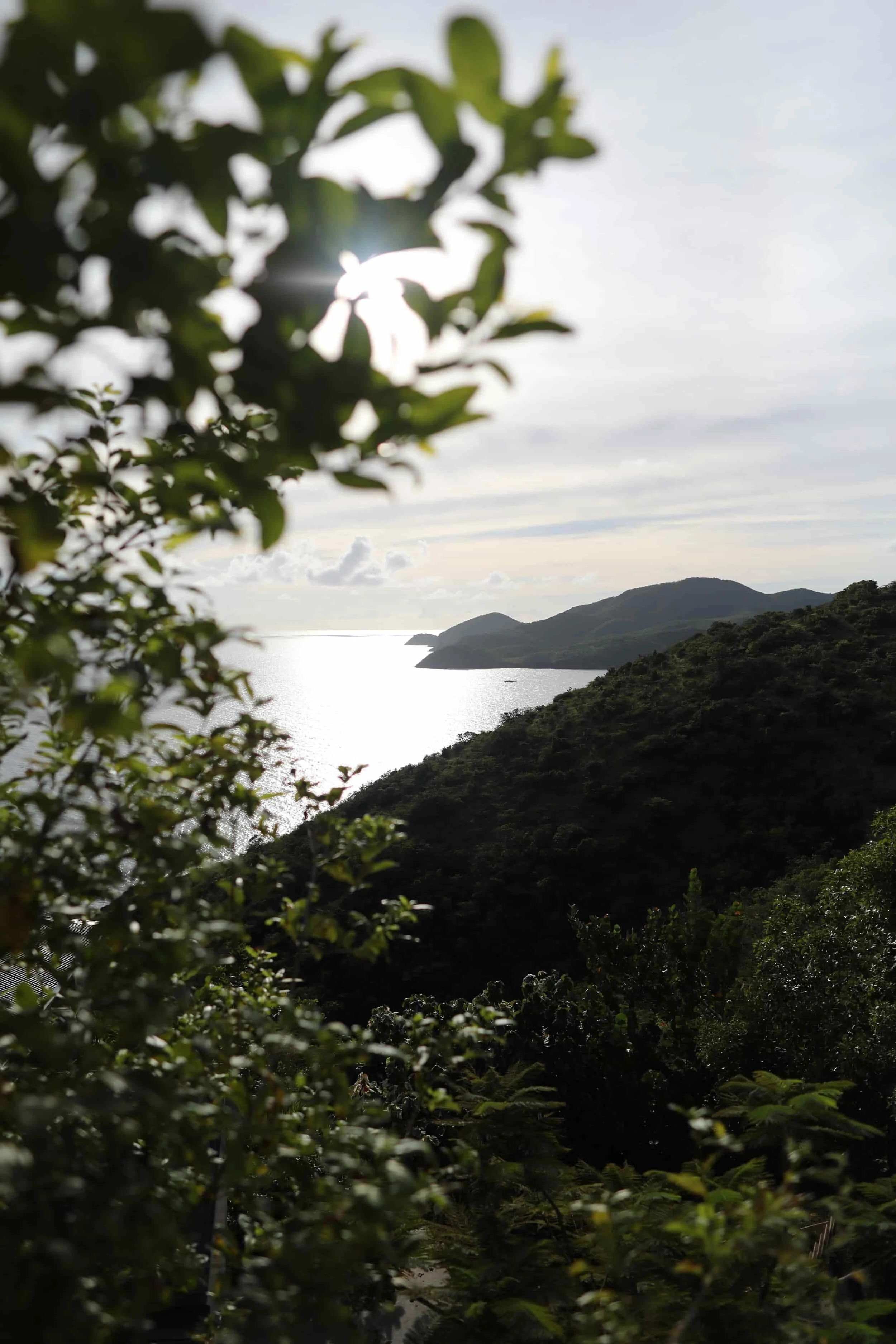 Scenic view of a coastline with hills and water, partially obscured by green foliage in the foreground, under a partly cloudy sky.