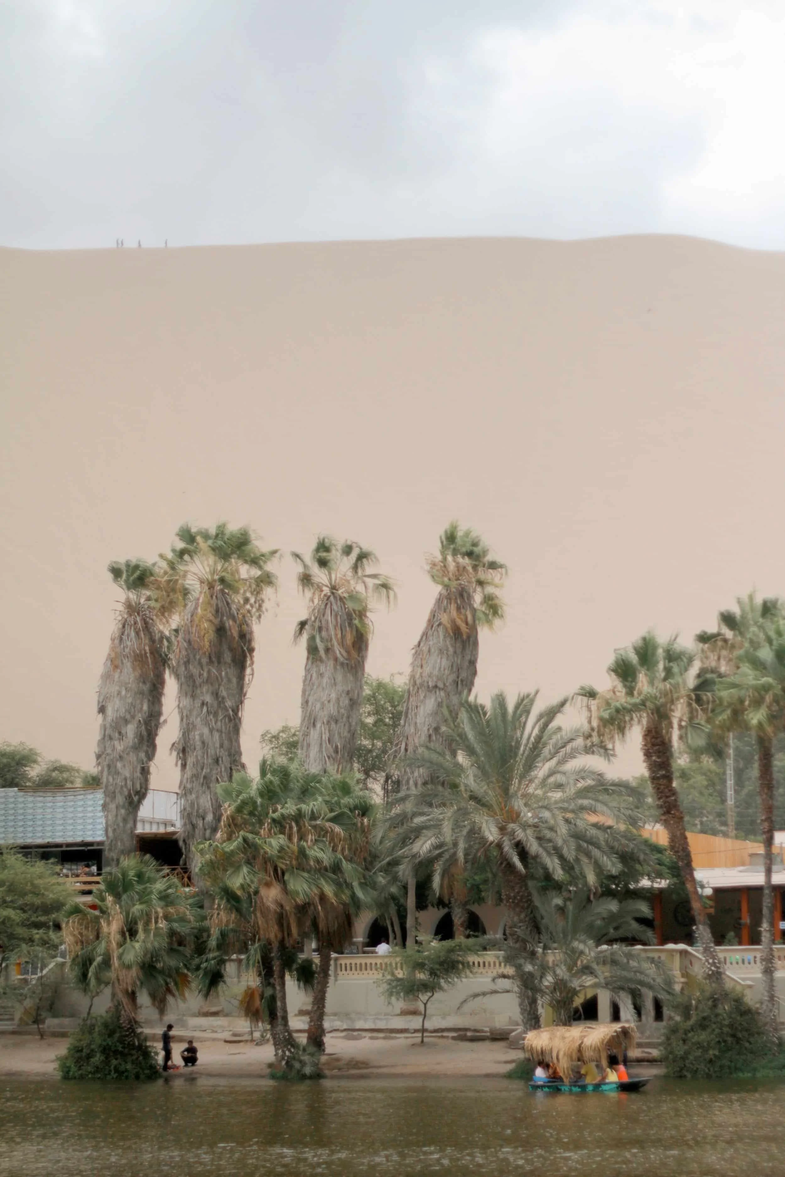 Oasis with paddle boats and large palms on the shore, massive sand dune beyond, Huacachina, Peru