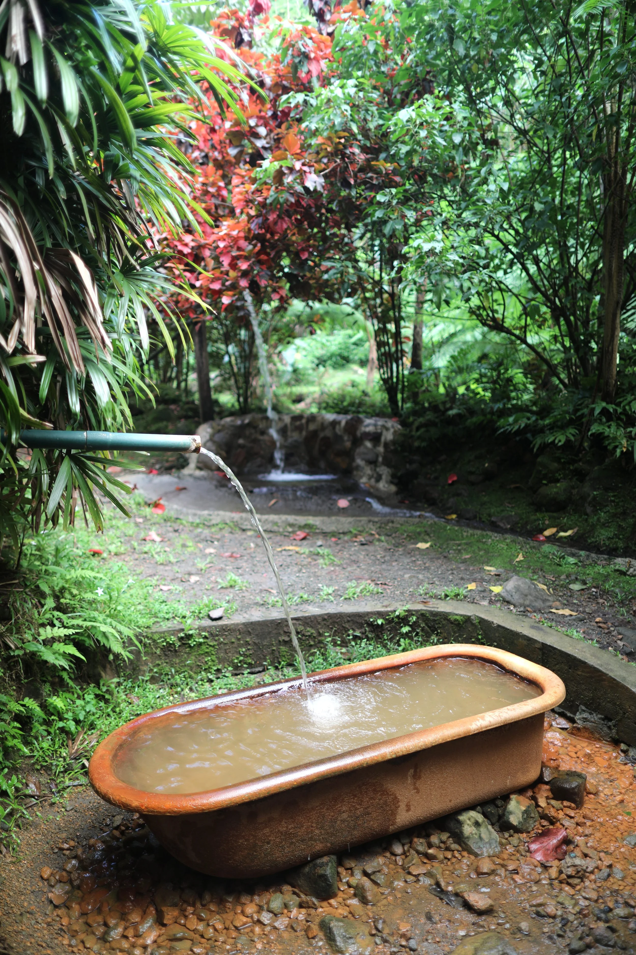 Bathtub in the forest of Dominica