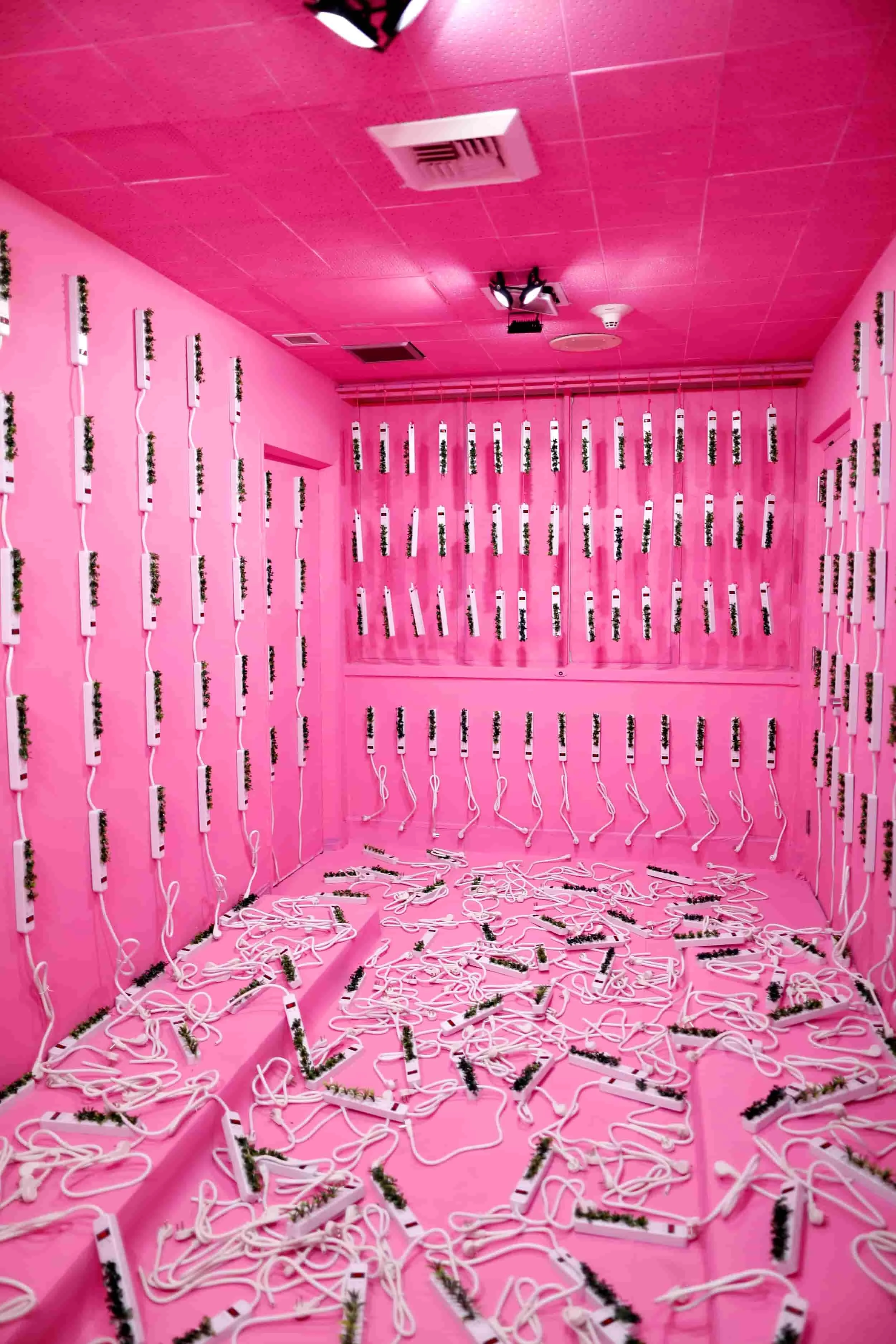 "Hospital Of Emotions" invites visitors to Los Angeles Art enthusiasts as a bold Experiential Design and Immersive Art destination—one of the must-see Things To Do In LA