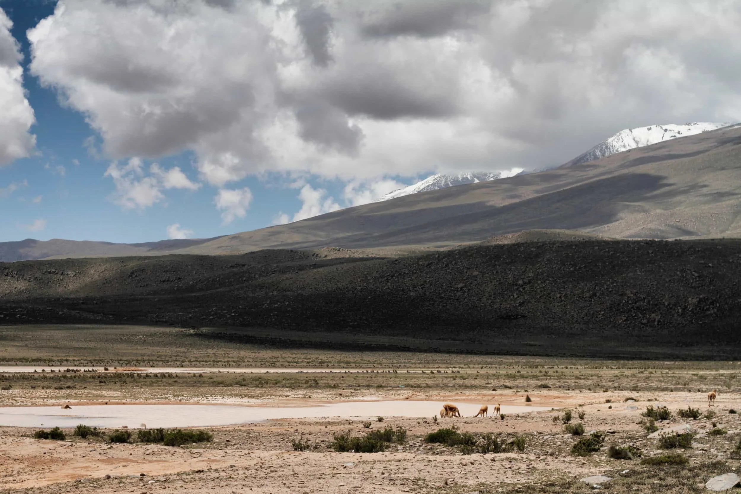 Plains in Peru covered with scrub plants, small water source, mountains with snow peaks and clouds beyond, high altitude in Peru