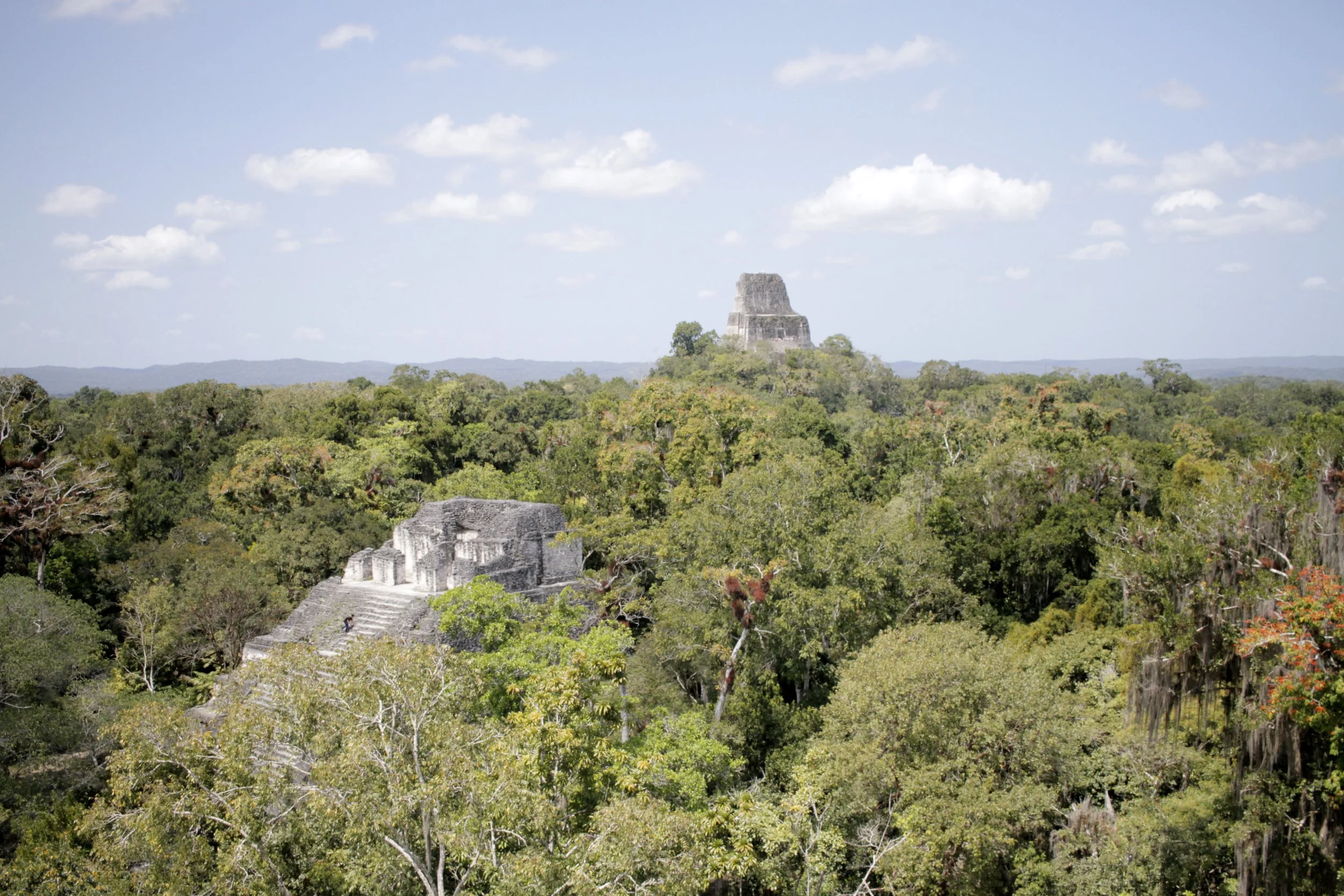 Ancient Mayan pyramid surrounded by dense jungle, with another pyramid visible further back on a hill, under a partly cloudy sky. Tikal, Guatemala.