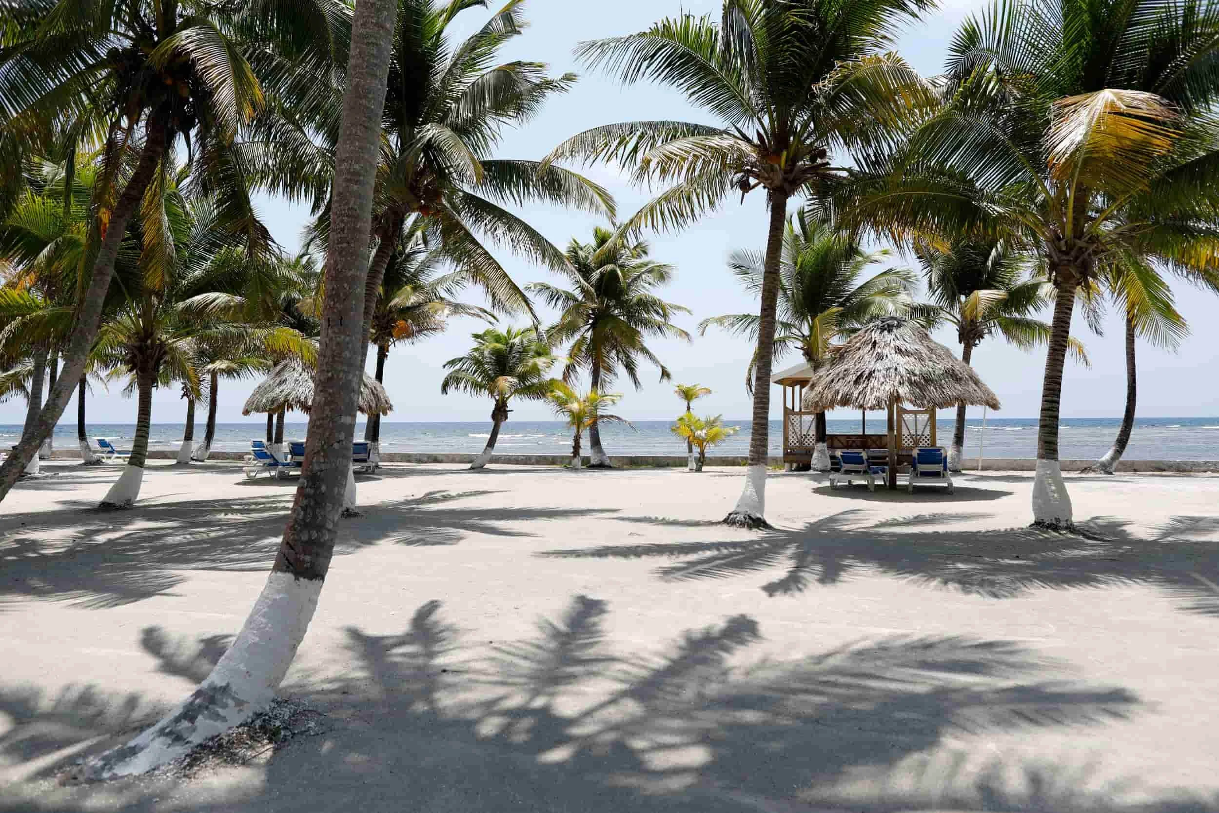 white sand beach with palm trees in Belize