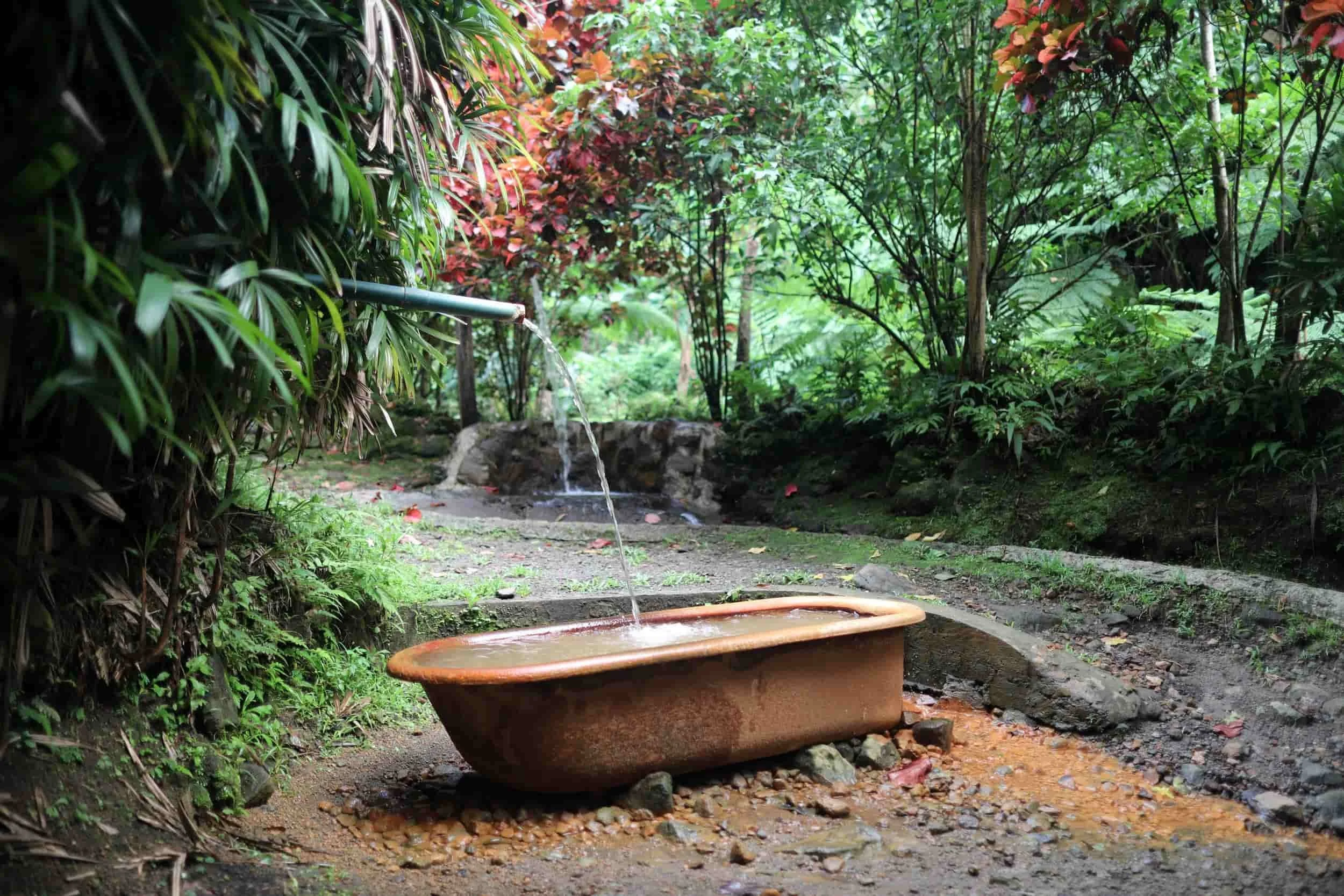 Bath tub in forest in Dominica hot springs