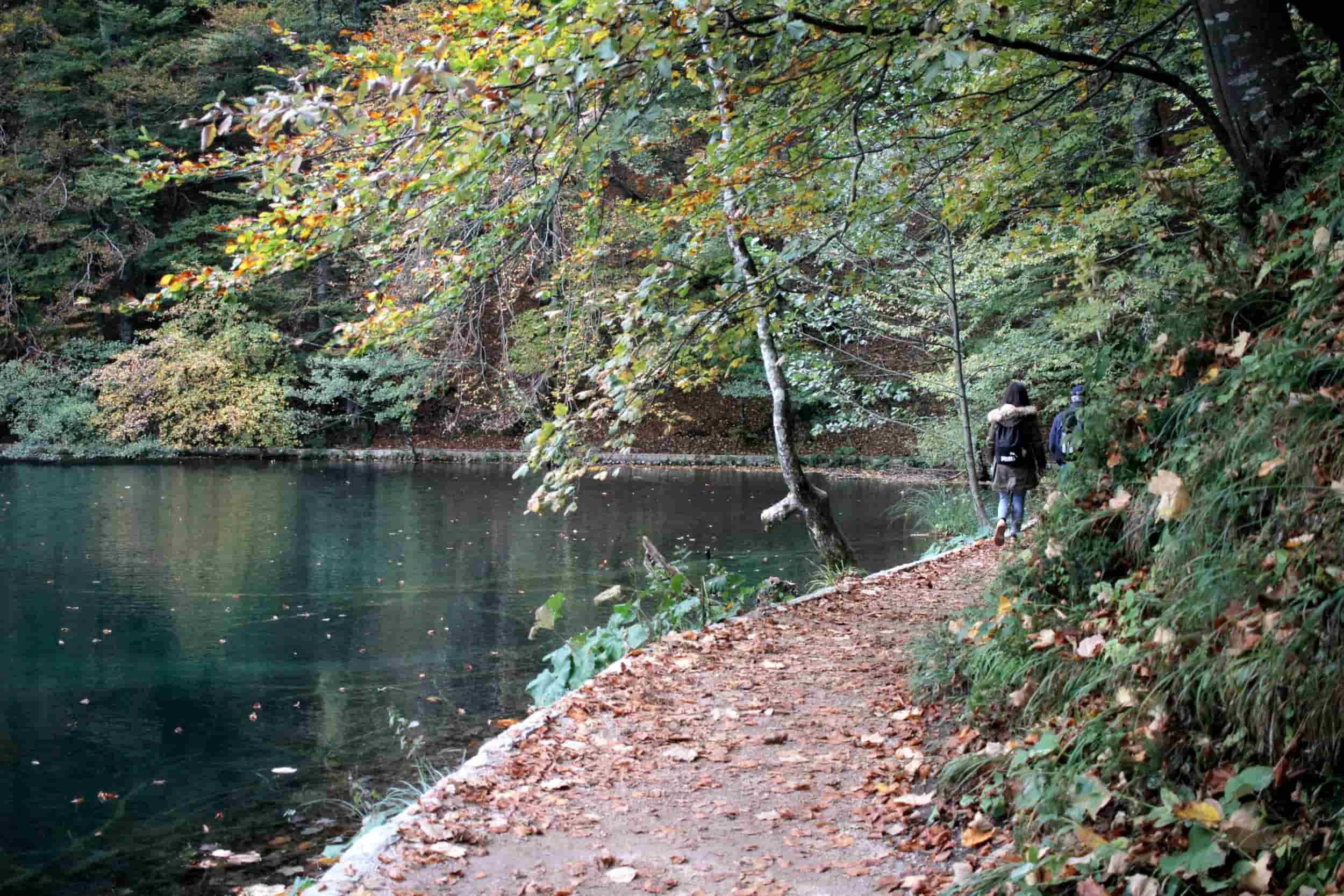 Tall green tress next to an emerald lake with people walking along a path at Plitviče Lakes National Park