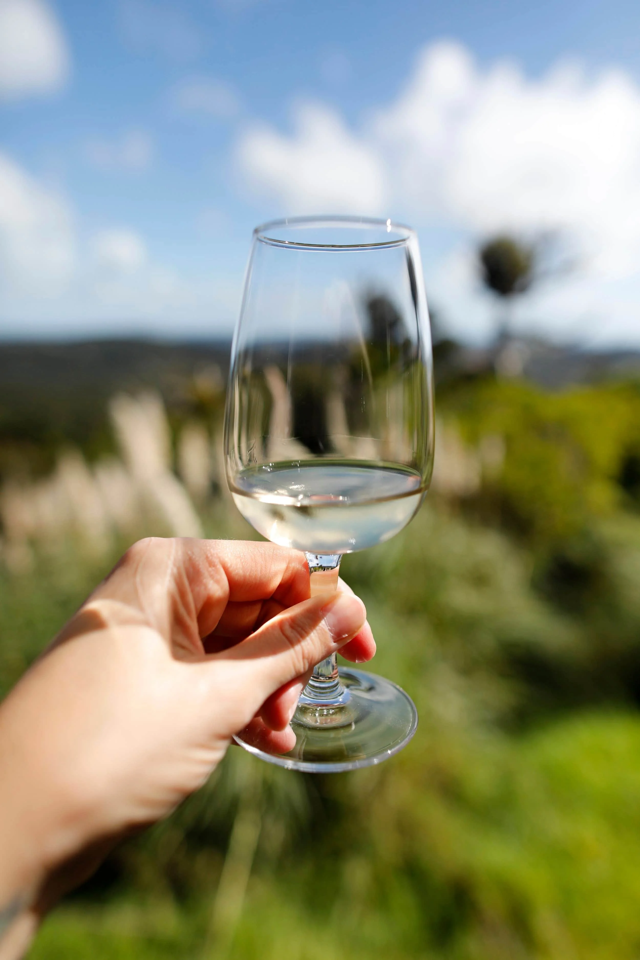 A hand holding a glass of white wine outdoors with a blurry landscape of blue sky, clouds, and trees in the background.