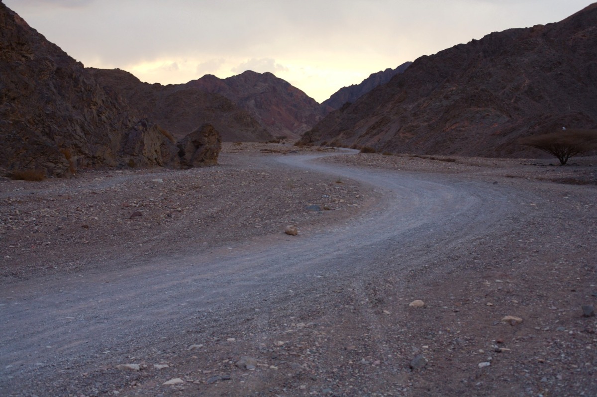 Eilat Desert