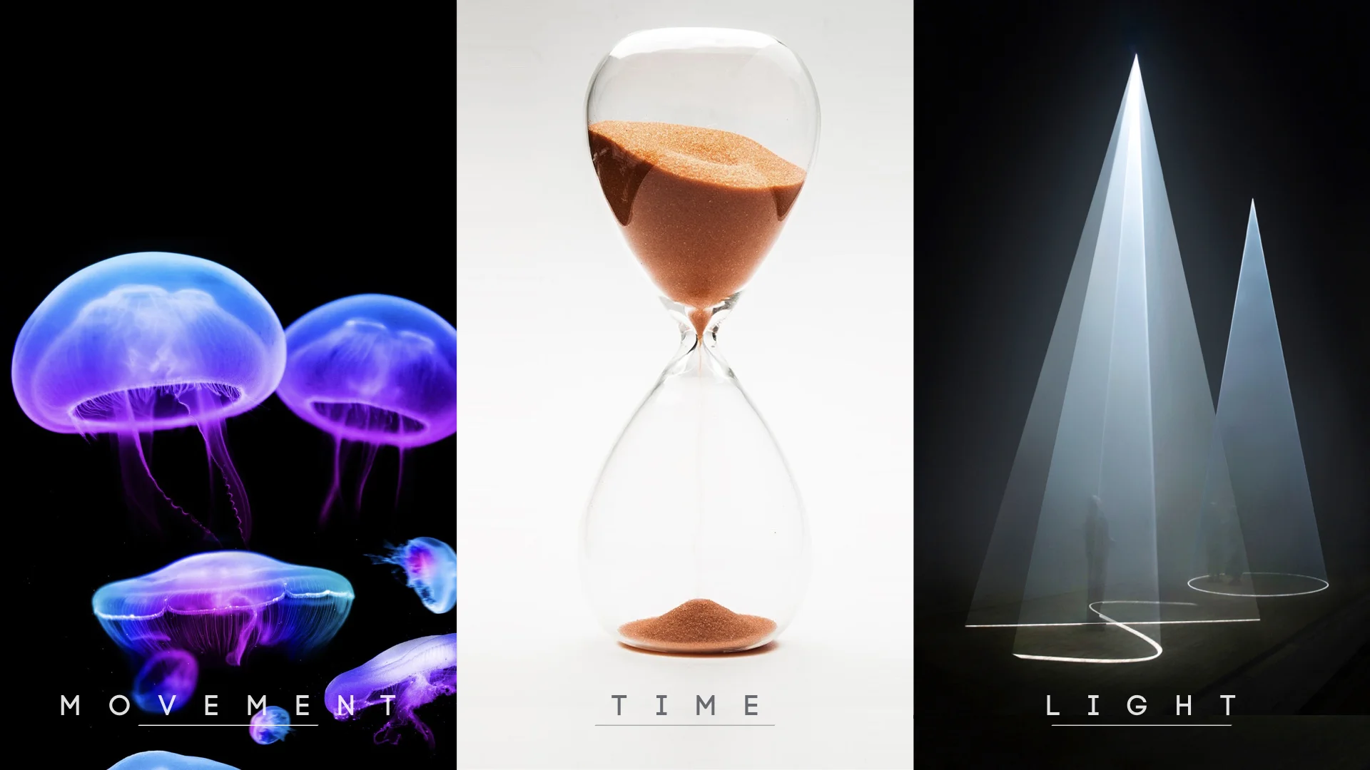 Technoform_Radical_Jomy Joseph_12DEC.023.jpeg