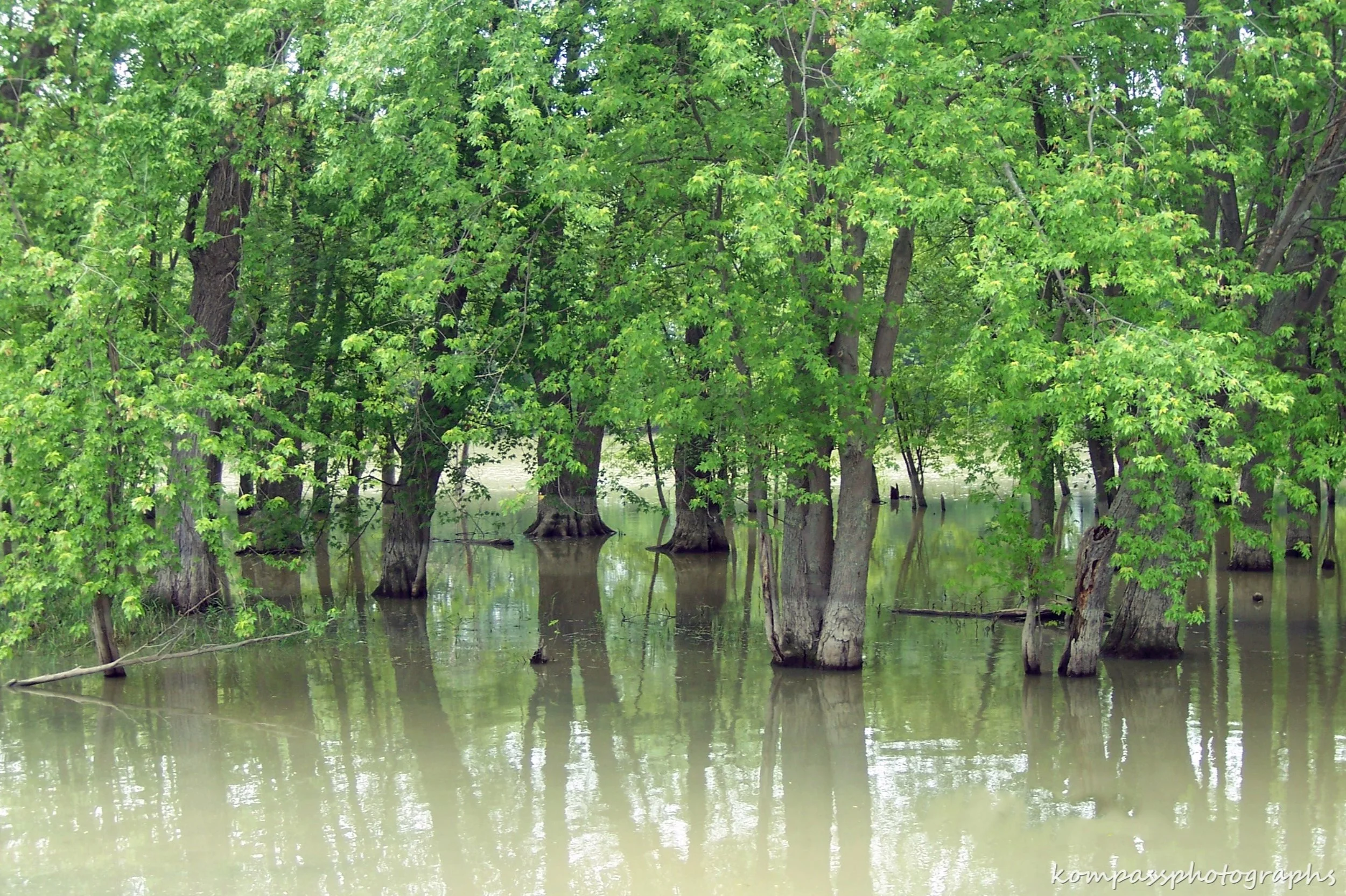 VTFlood.jpg
