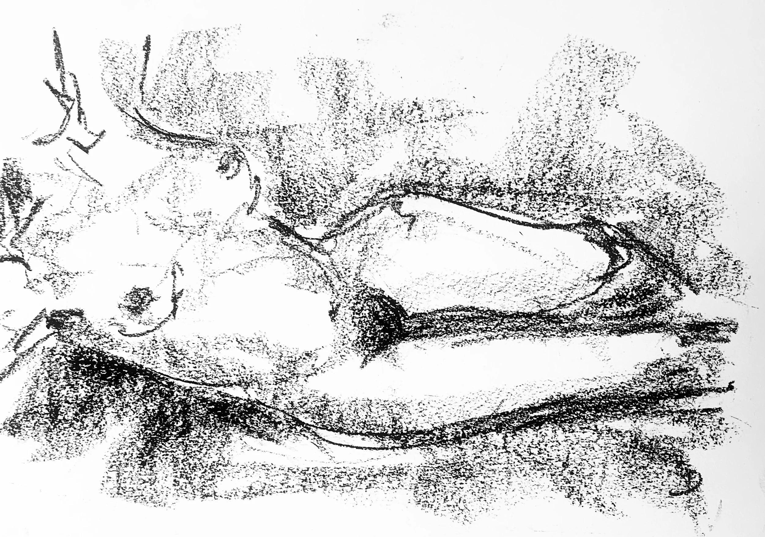 Resting - A3 - Original Charcoal
