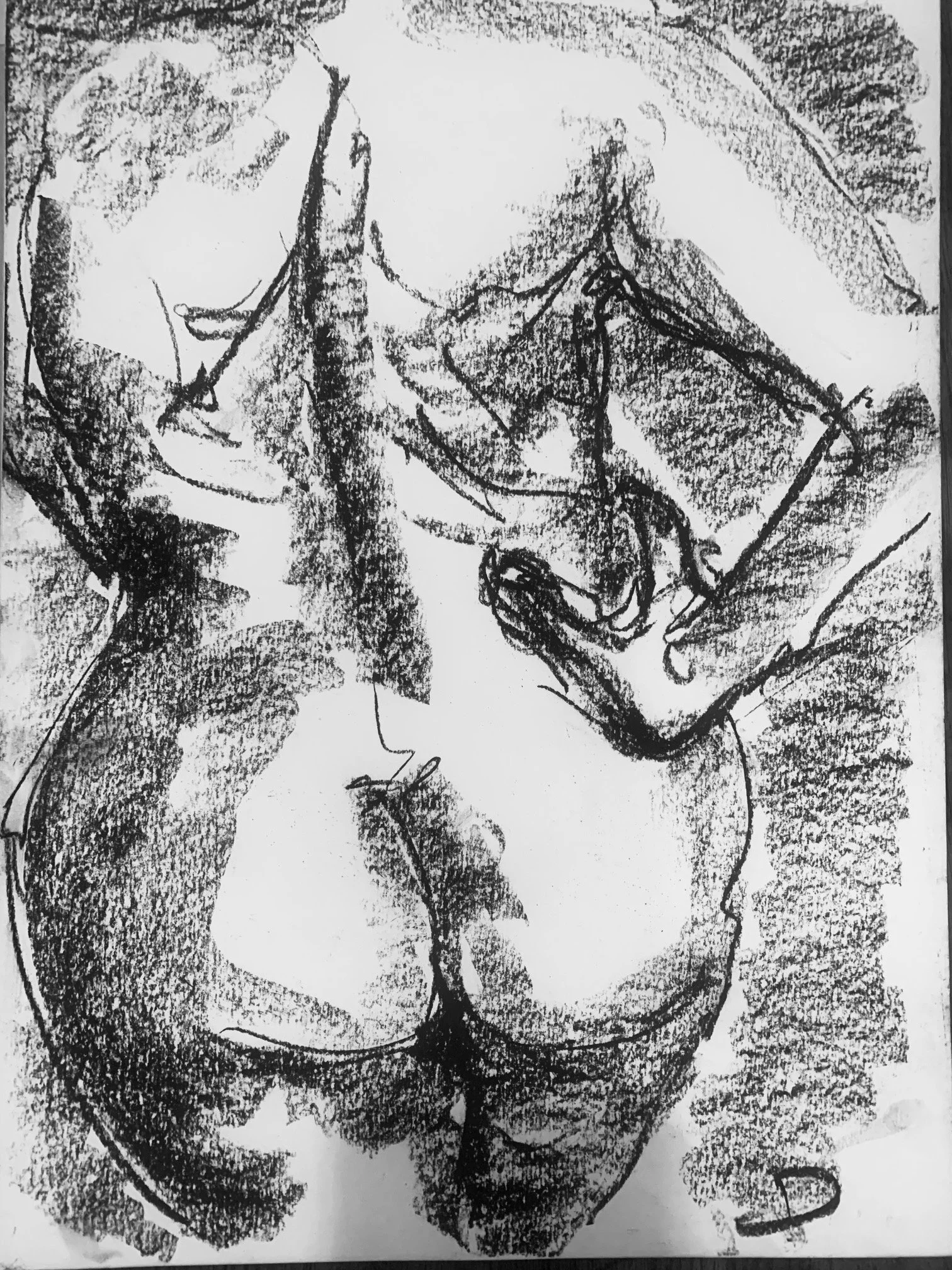 Hips - A3 - Original charcoal