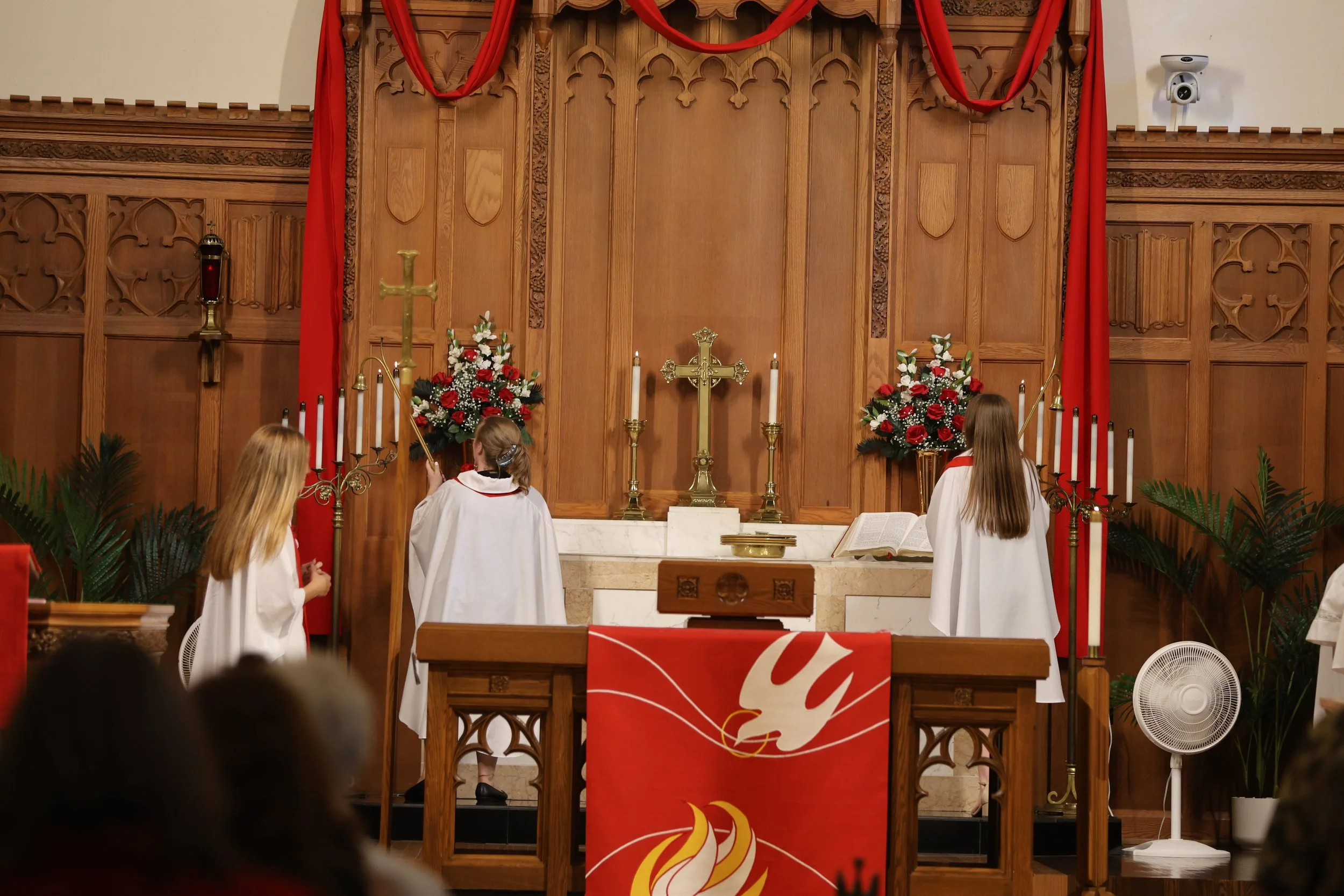 243A1125.JPG