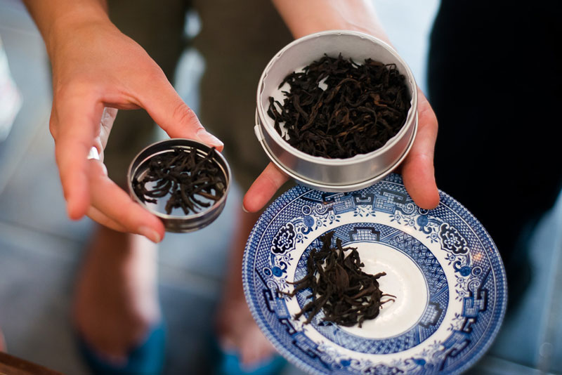 Journey of the Leaf - Tea Walk Part 2