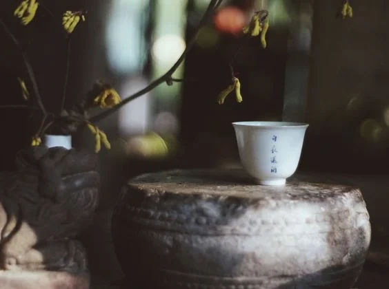 GONG FU TEA CEREMONY WITH OOLONG TEA