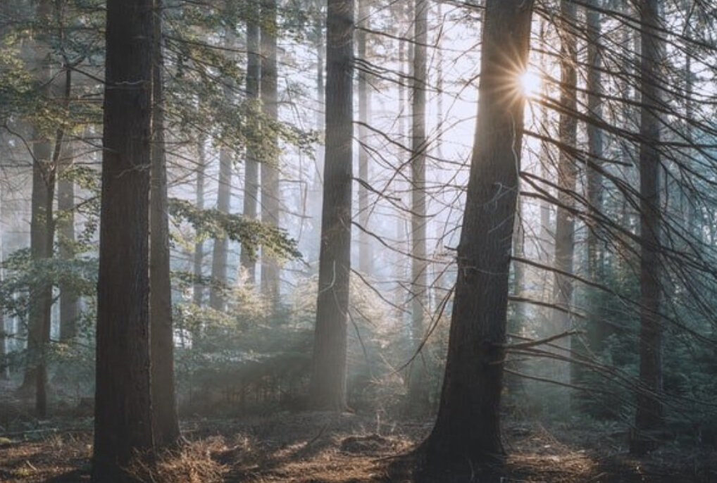 AWAKENING KULA - ONE DAY RETREAT
