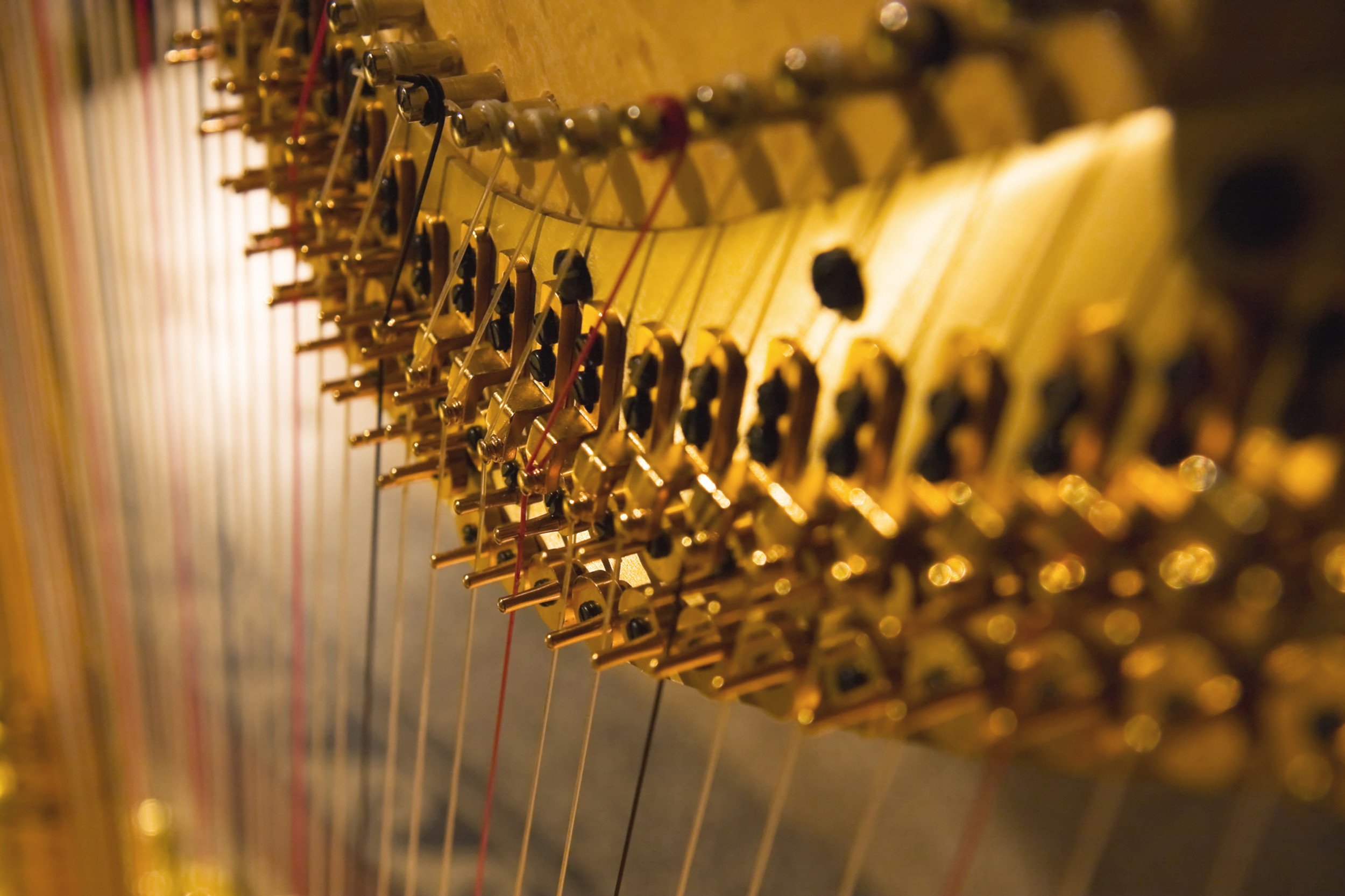 The Medicine of Sound and Tea