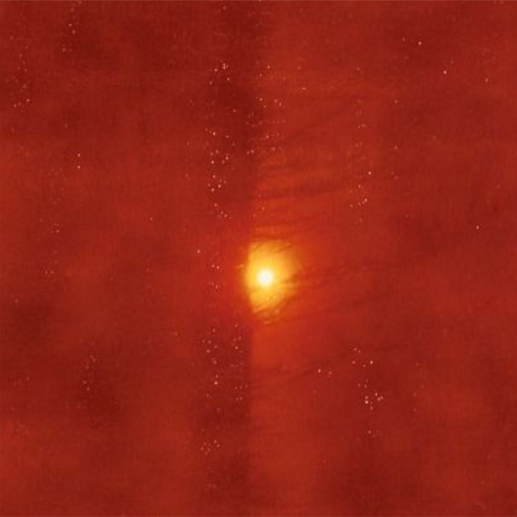 LEO’S RADIANCE ~ Full Moon Tea Ceremony