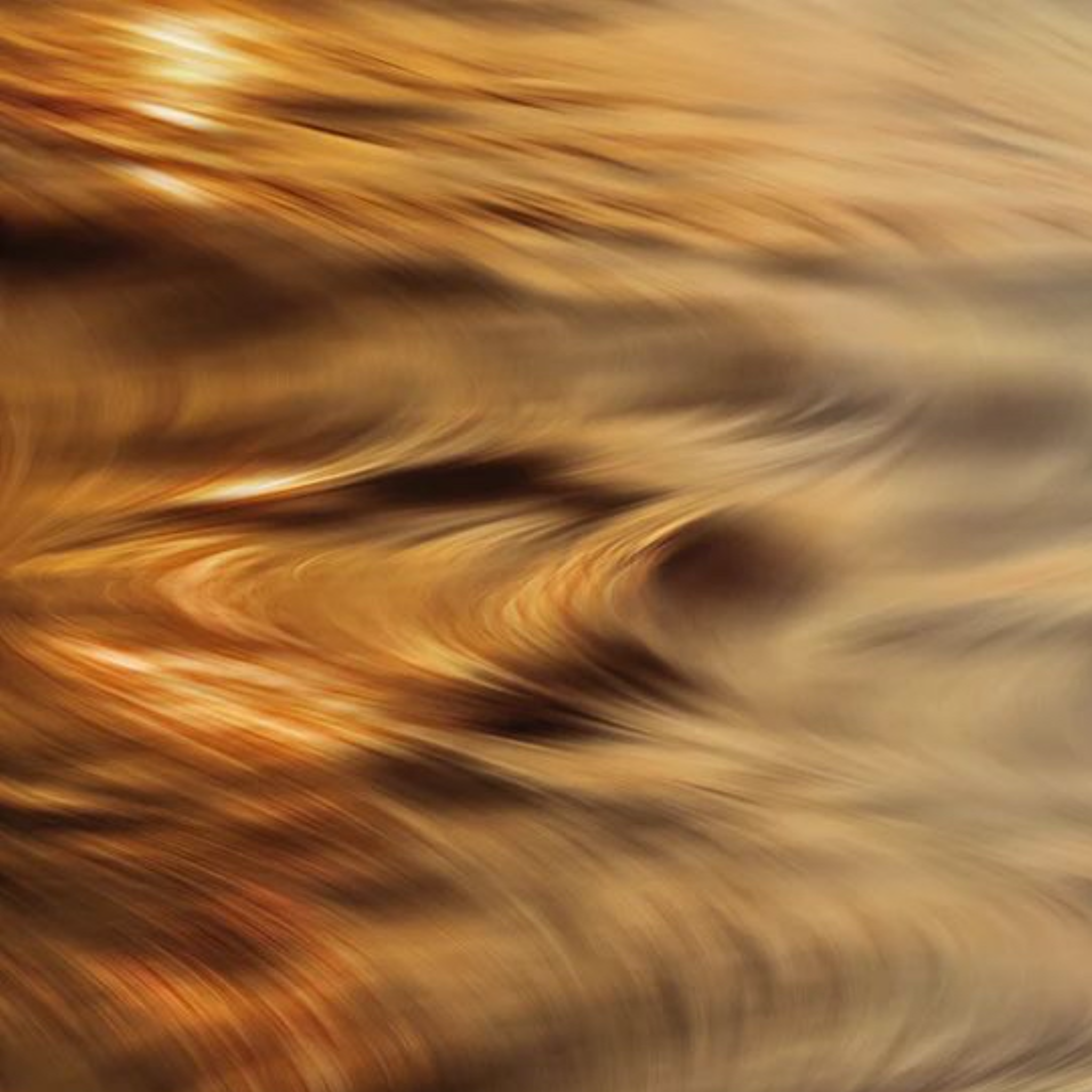 DREAMY PISCES ~ New Moon Tea Ceremony for Women