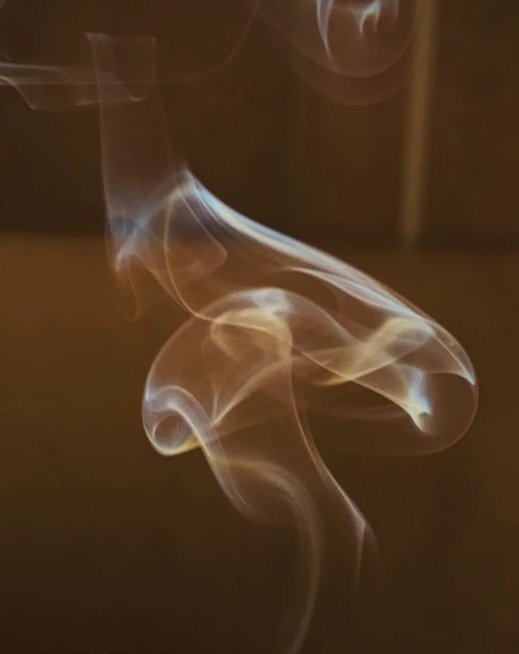 Morning Tea Ceremony ~ Full Moon ~ Open to All