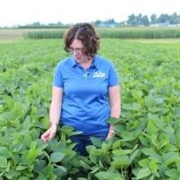 Dr. Carrie Knott @KYGrains