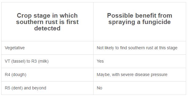 Table 1. Possible benefit from spraying a fungicide at different corn developmental stages in which southern rust is first detected. (Table modified from Texas A&M University publication )