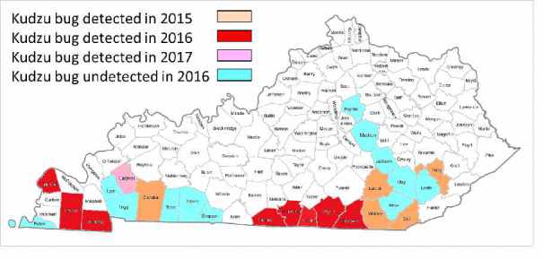 Figure 2. Distribution of Kudzu bug in Kentucky since 2015.