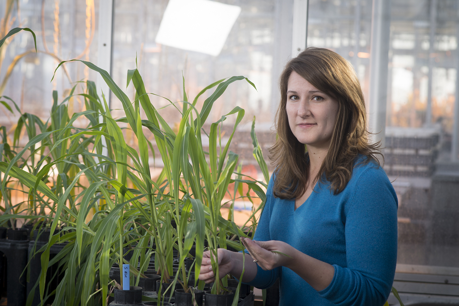 Fig. 1. Dr. Kiersten Wise is an Extension Plant Pathologist with responsibilities in field crops at the University of Kentucky.