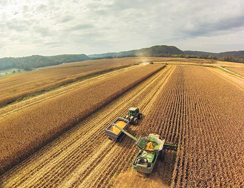 Peterson Farms, Marion Co. 