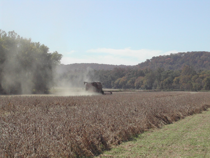 soybean harvest.png
