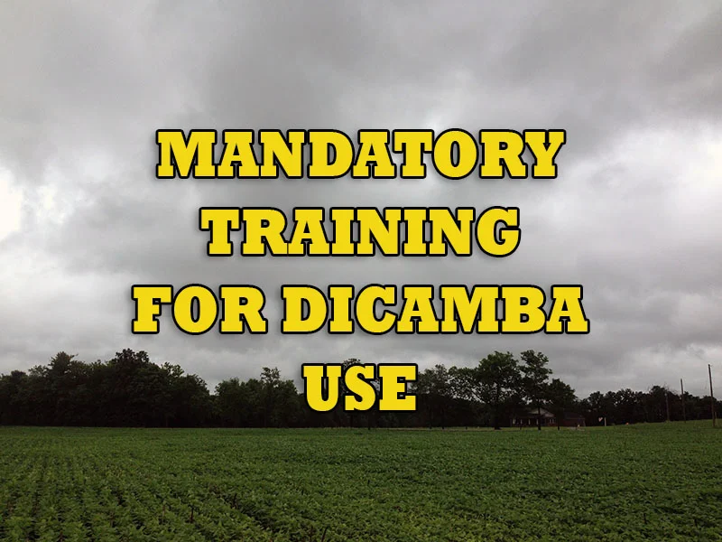 DICAMBA.jpg