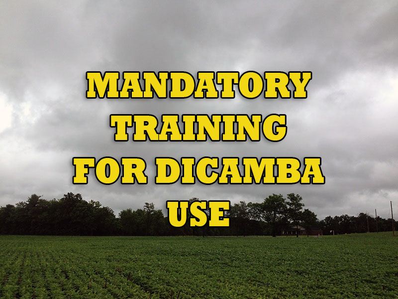 DICAMBA.jpg