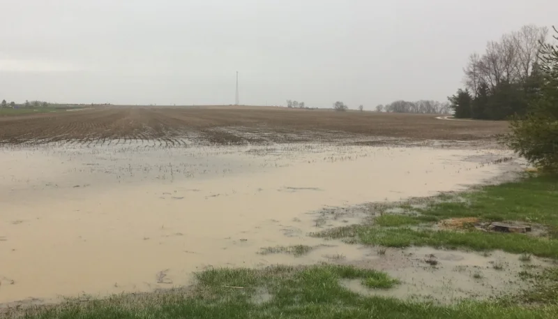 Many fields intended for corn are still too wet for field work.