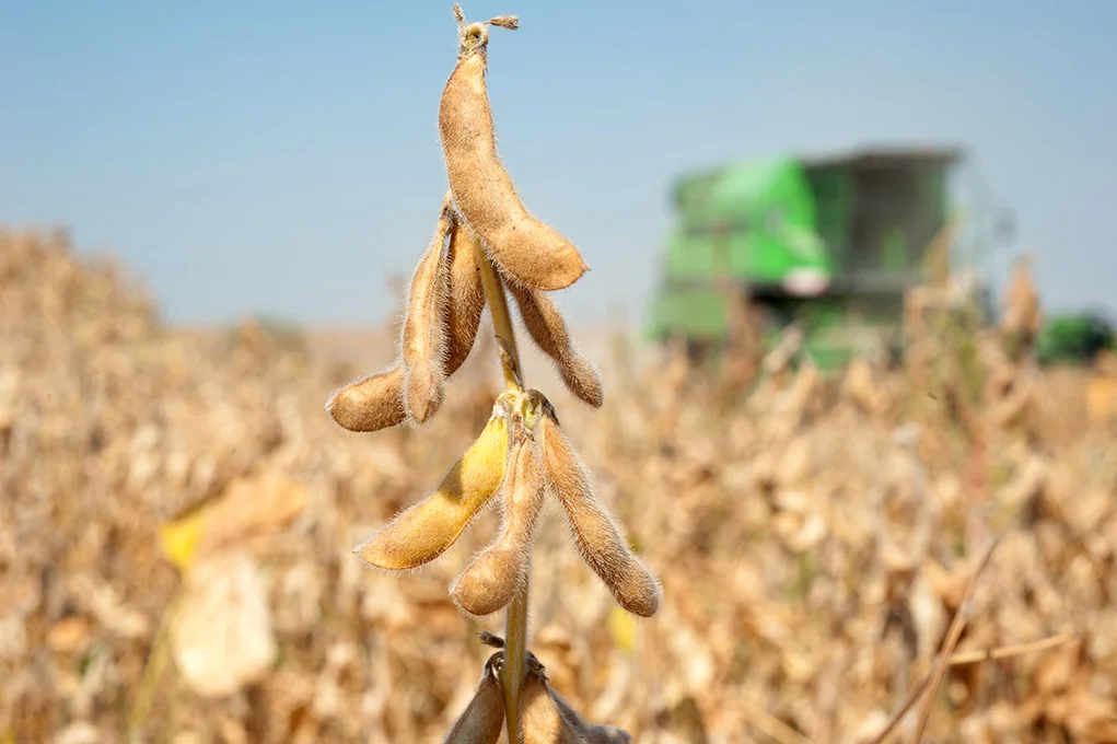 combines in field-w.jpg