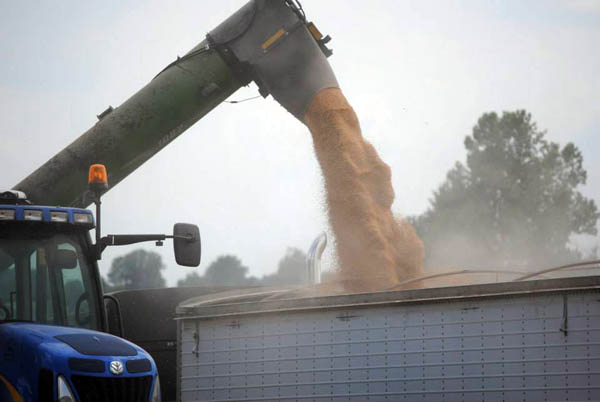 2022 Kentucky Wheat Yield Contest Winners