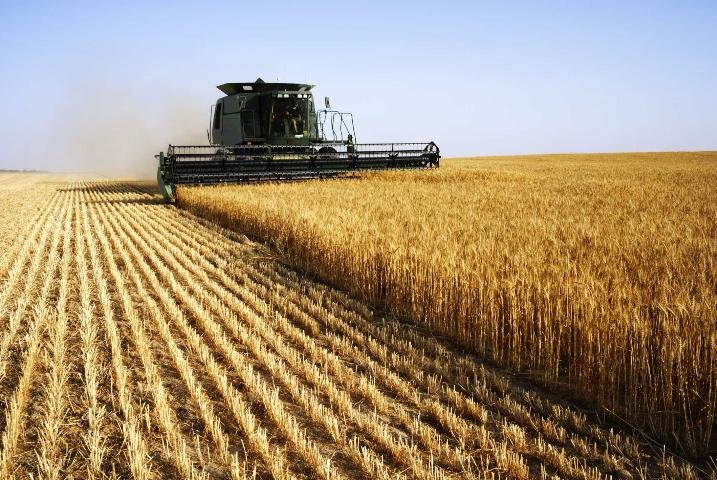 Understanding Crop Management – A Key to Higher Yields — KyGrains.info