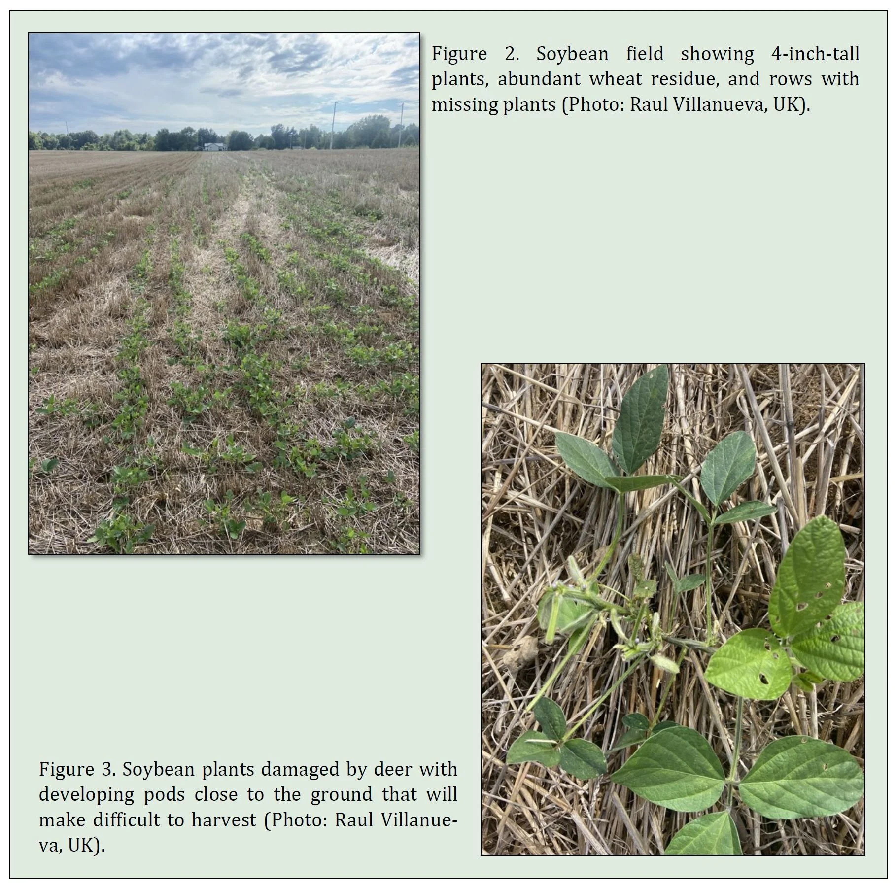 A Combination of Environmental Factors, Living Organism, and Lack of