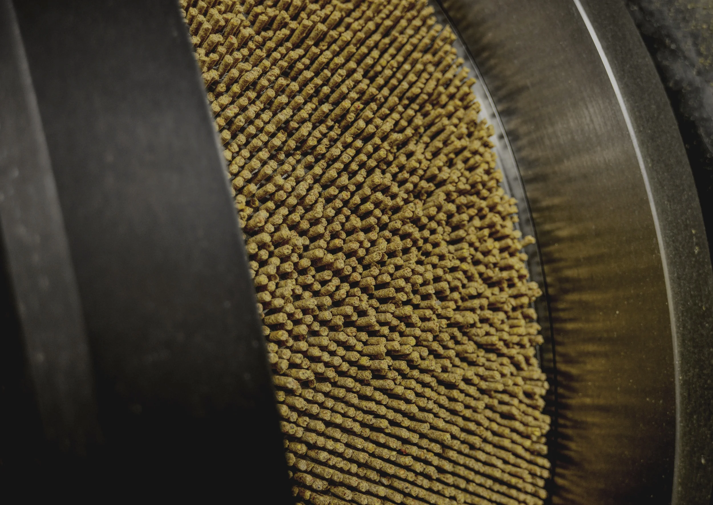 Pellets.jpg