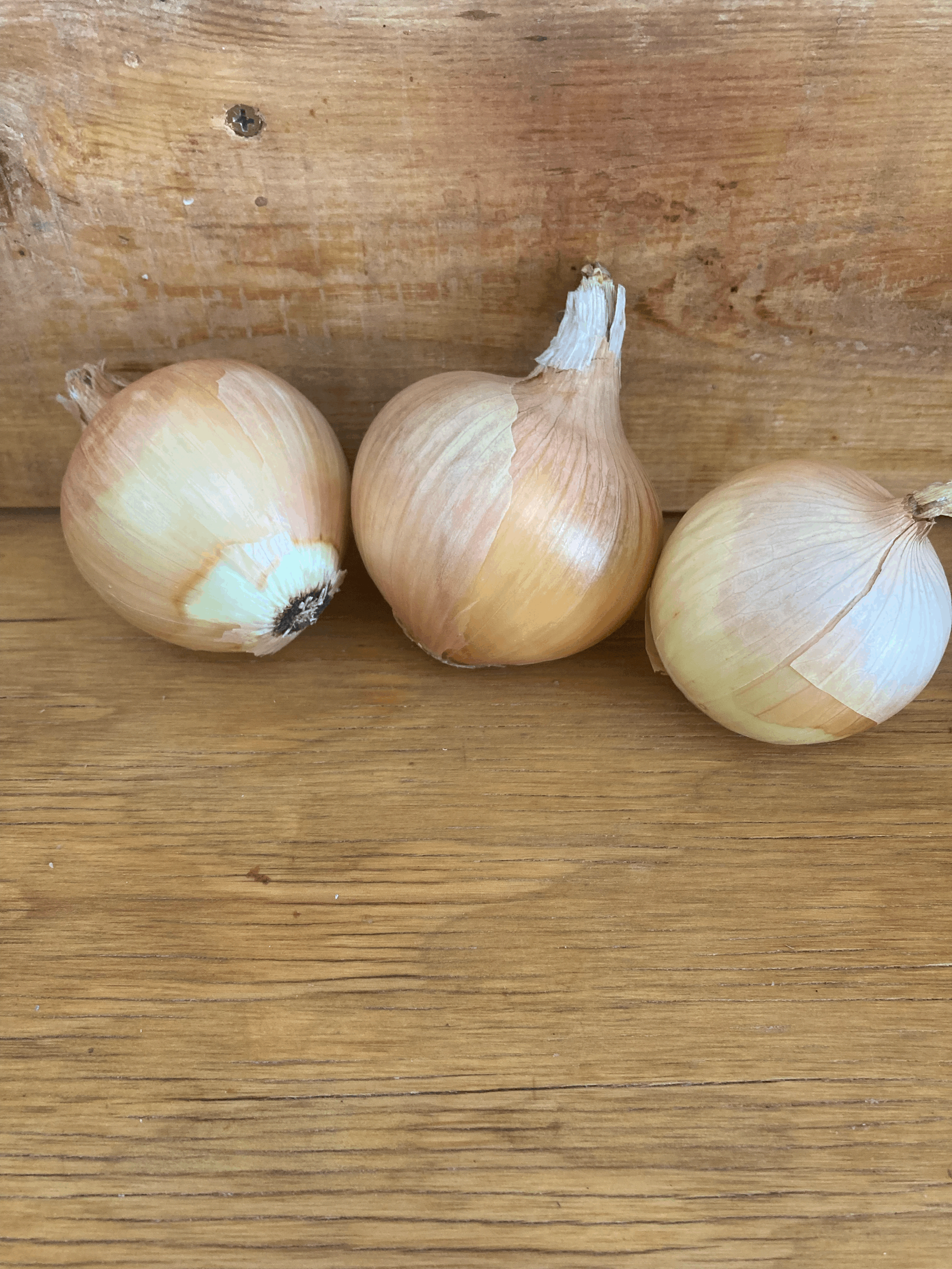 Yellow Onion Box (10lbs)