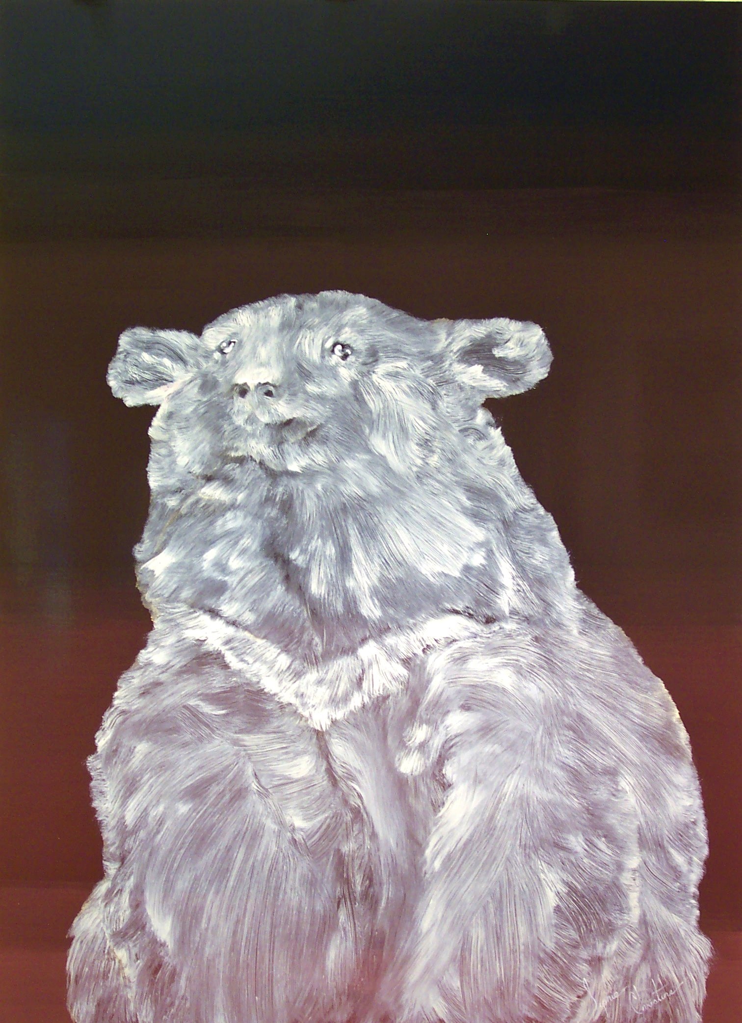 BEAR, 2004