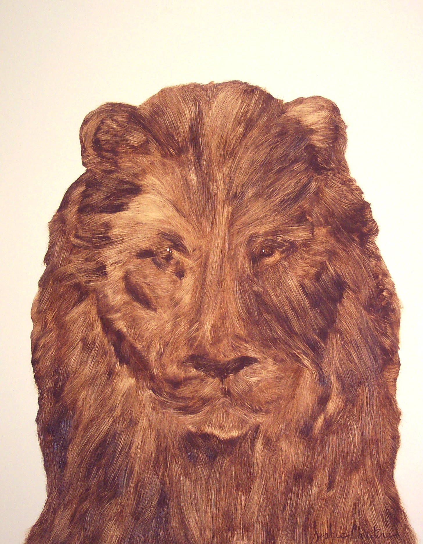 LION, 2004