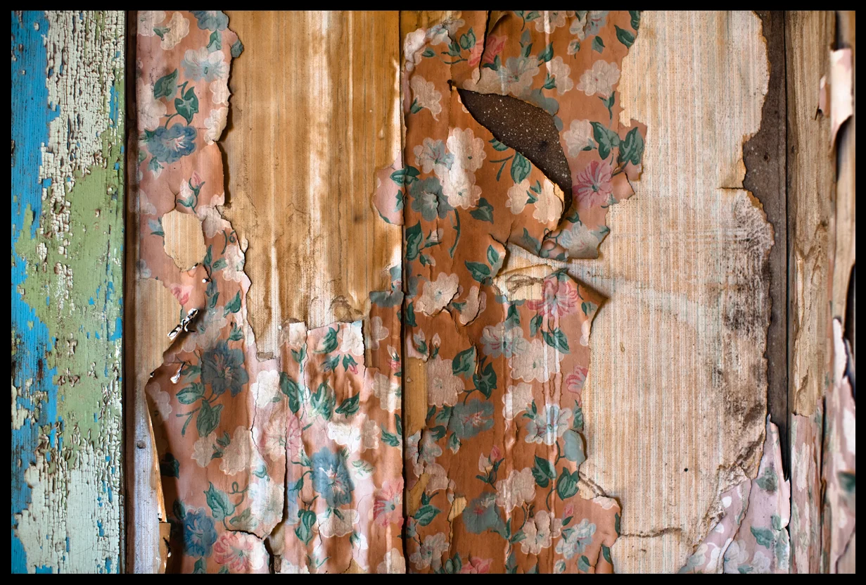 mojave-ca_5568487802_o.jpg