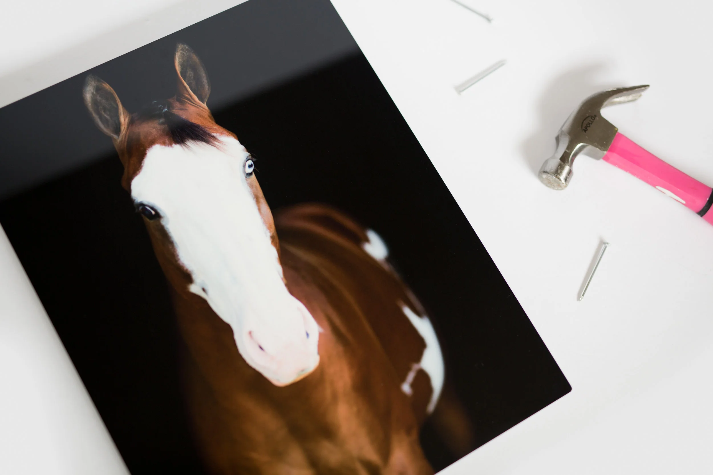 Fine Art Metal Prints available within your gallery