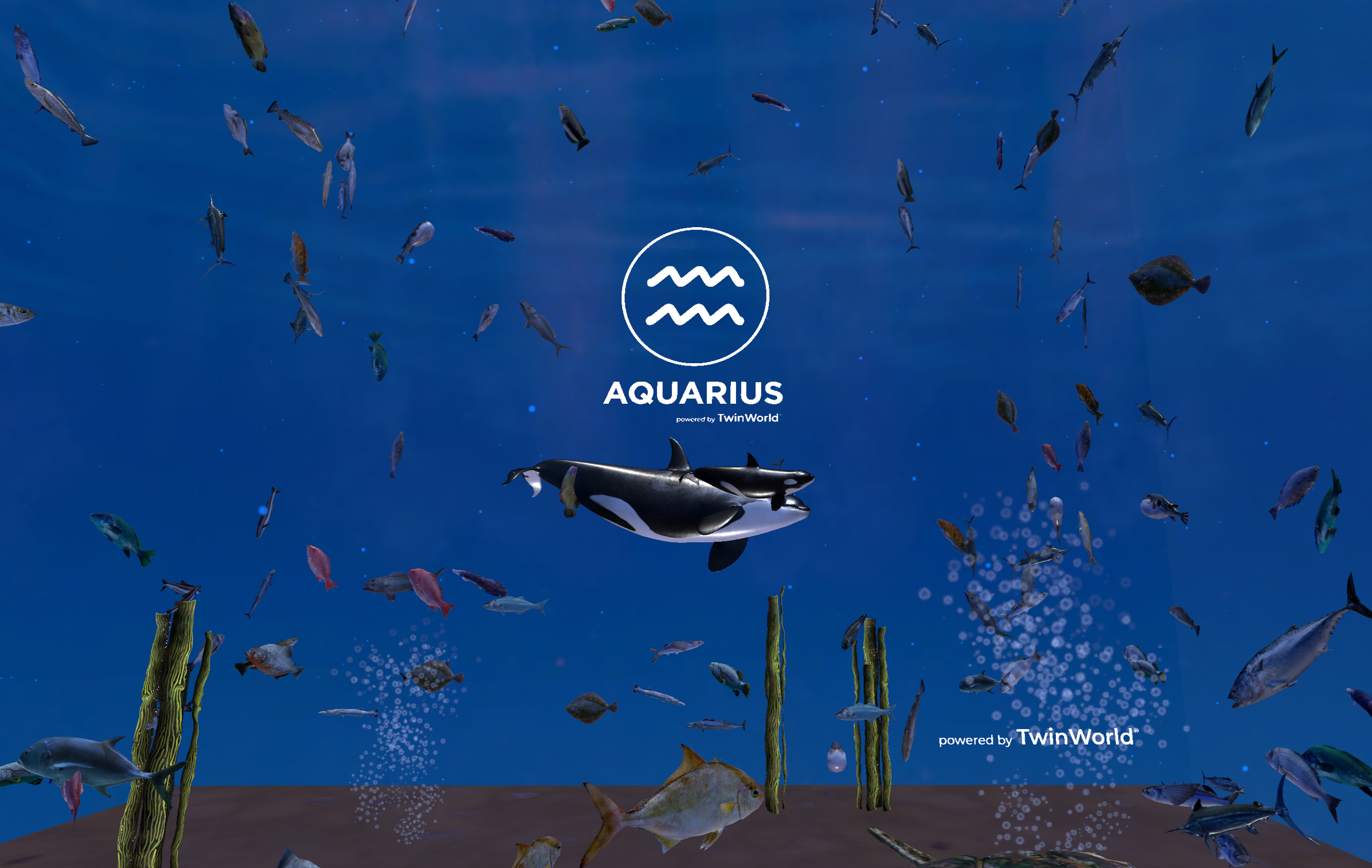 aquarius2.png