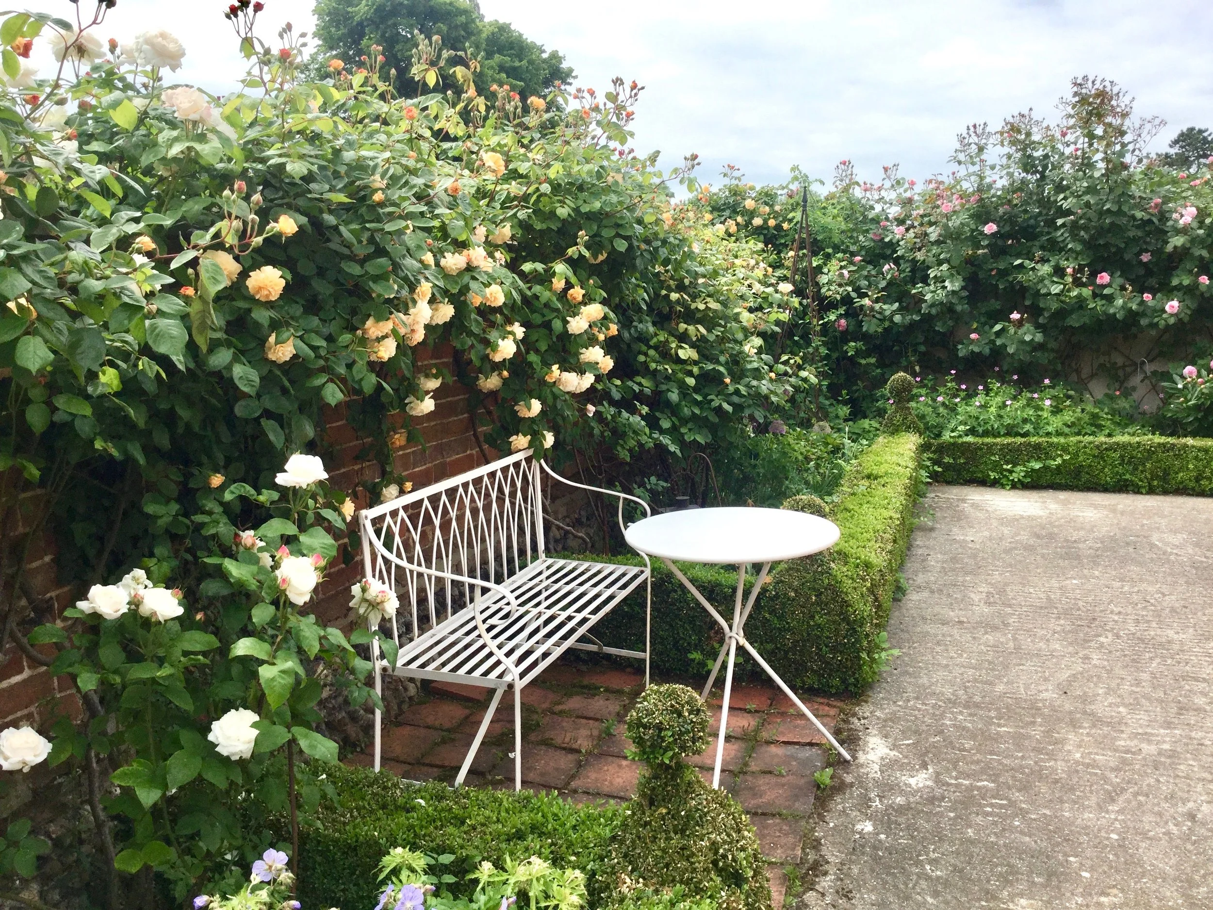 Early summer roses fill the courtyard with fragrant colour. 