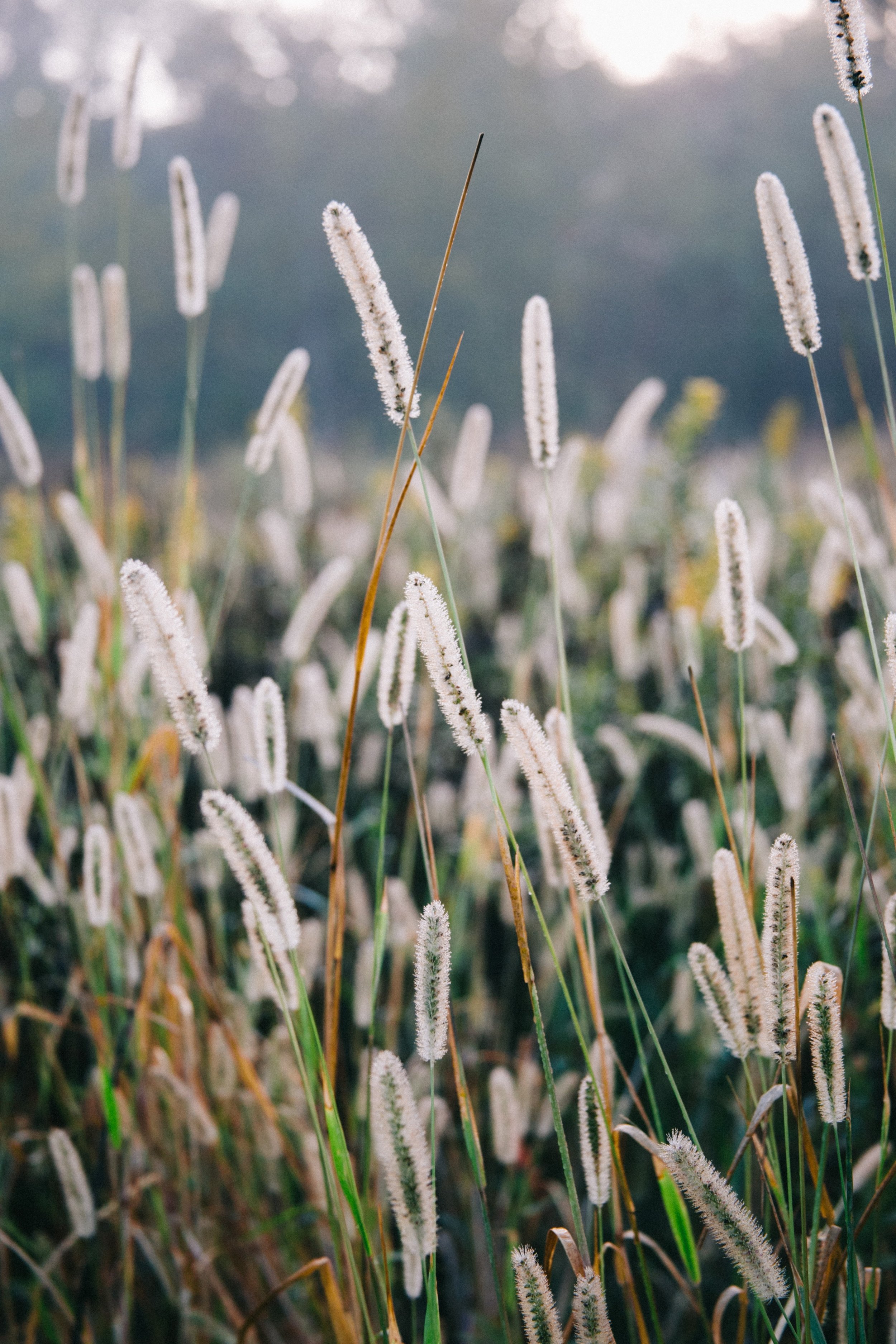 Photo by Eli DeFaria on Unsplash